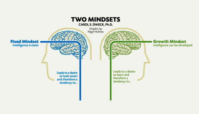 Growth Mindsets